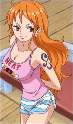 Quel est le rêve de Nami ?