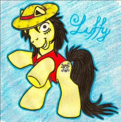 Luffy en poney. Qu'est-ce qui est mal imité ?