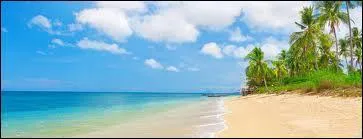 Sur quelle chaîne passe l'émission ?