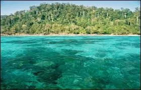 Quelle est la date de la première diffusion ?