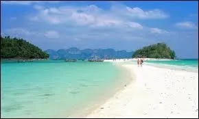 Quel est le vainqueur de la saison 1 ?