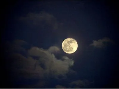 A quel célèbre chanteur doit-on le titre "A demain sur la lune" en 1969 ?