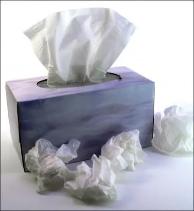 Quel groupe fait de la publicité gratuite pour "Kleenex" dans une de ses chansons ?