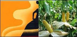 Il faut tirer dessus sinon elle s'éteint ! Forcément son papier est ------- et --------.