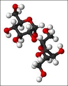 Comment appelle-t-on une solution composée d'un seul type de molécules ?