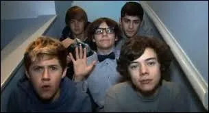 Combien ont-ils fait de "Vidéo Diary" à X Factor ?