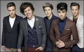 Lequel des membres est sorti à X Factor avec une fille du groupe Belle Amie ?