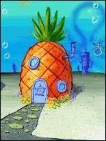 Dans quel "fruit" Bob l'éponge vit-il ?