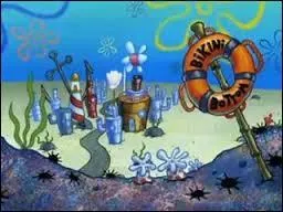 Dans quelle ville habitent-ils ?