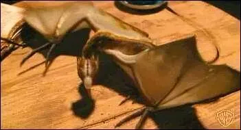 / ! \ Changement de règle / ! \ Seulement pour les dragons. Parmi les 4 caractéristiques suivantes (question 9, 10, 11 et 12), quel dragons les possèdent ?
Un demi-géant m'a élevé et m'a nommé Norbert, qui suis-je ?