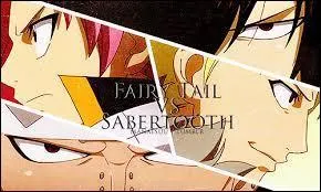 Natsu et Gajeel ont affronté les dragons jumeaux de Sabertooth (Sting et Rogue). Qui a gagné ce combat entre 4 chasseurs de dragons ?