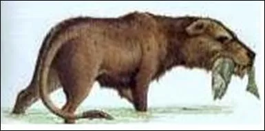 Est-ce l'ancêtre des dauphins ?