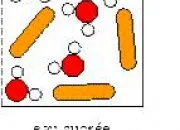 Quiz Des molcules pour comprendre