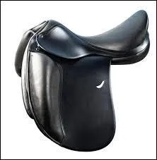 Cette selle est une selle :