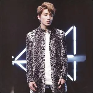 Comment s'appelle ce chanteur ?