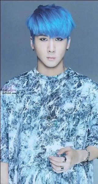 Combien ce chanteur a-t-il eu de couleurs de cheveux différentes ?