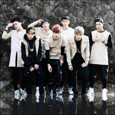 Quel groupe a fait un carton au début de l'année 2014 ?