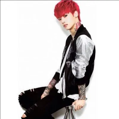 De quel groupe est-il le leader ?