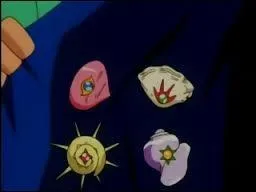 Le badge de Rudy est : 
(1 réponse)