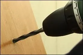 On en fait des condiments conservés dans le vinaigre.