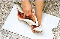 On les appelle des puciers en Dauphiné.