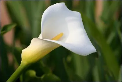 Et cette dernière ?