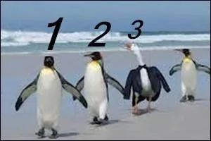 Quel numéro porte l'intrus ?