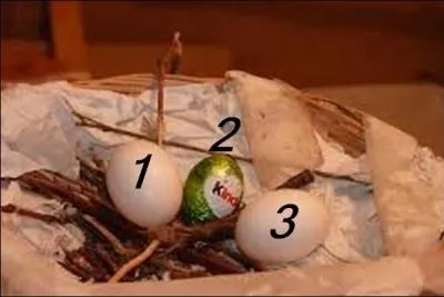 Quel numéro porte l'intrus ?