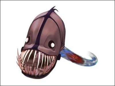 Quel est ce monstre ?