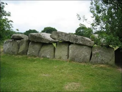 Quelle est cette commune du Finistère qui possède un intéressant enclos paroissial et l'imposante allée couverte du Mougau-Bihan composée de 24 blocs de pierre ?