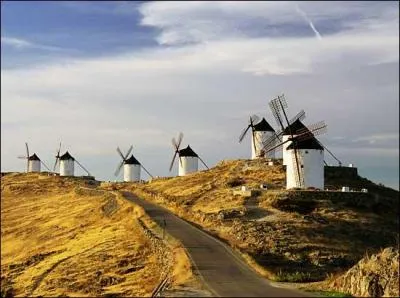 Littérature. Dans quelle communauté autonome espagnole sont situés les moulins à vent contre lesquels se bat Don Quichotte dans le roman éponyme de Cervantes.