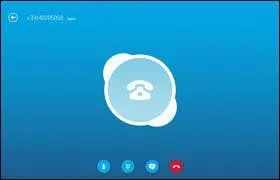Que peut-on faire sur Skype ?