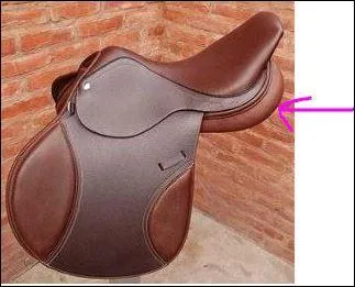 Quel est le nom de cette partie de la selle ?