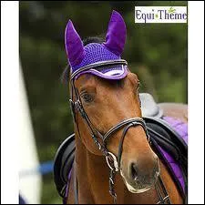 Qu'est-ce que c'est ?