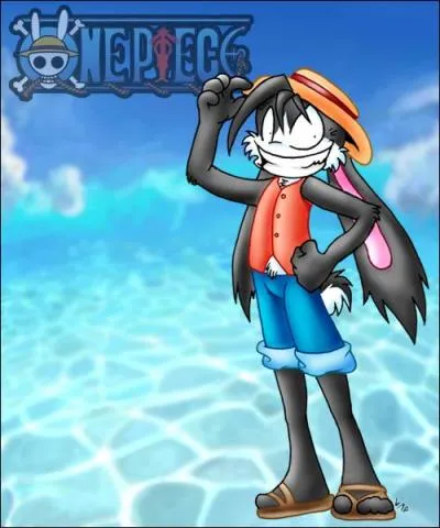 Luffy en lapin ! Sur quoi marche-t-il ?