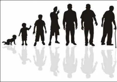 Quel est l'âge moyen des utilisateurs ?