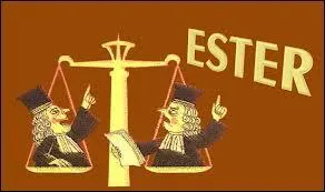 Quel nom porte la possibilité qu'a tout citoyen libre de poursuivre une tierce personne ou de se défendre afin de garantir le respect de ses droits ?