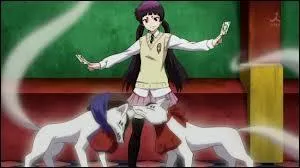 Comment se nomment les deux renards blancs qu'invoque Izumo ?