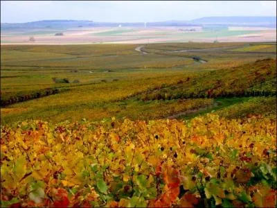 Le département de la Marne ne touche pas :