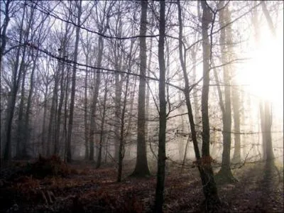 De ces quatre départements, lequel n'est pas frontalier de celui de l'Orne ?
