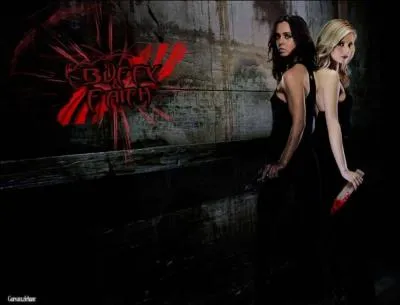 Qui est la deuxième tueuse ?