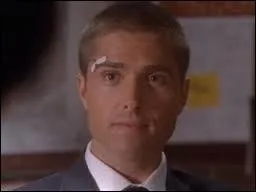 Qui Van Pelt avait-elle choisi pour être son témoin pour son mariage avec O'Laughlin ?