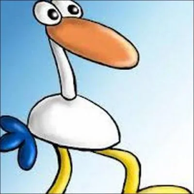 Quel est le nom de cet oiseau ?