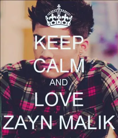 S'il n'avait pas été chanteur qu'aurait-il été ?