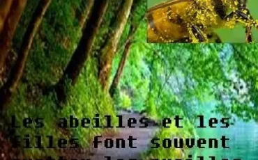 Quiz Vocabulaire