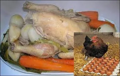 Malheur aux vieilles ---------- ! Les ---------- -------------.