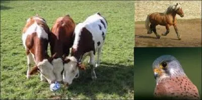 Que ne faut-il pas accumuler dans la journée pour quelle soit bonne ?