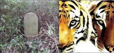 Ah, sagesse rurale ! 
Que convient-il de mettre entre les champs de deux --------- ?