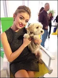 Quand emménagent-ils ensemble ?