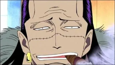 Voit-on Crocodile après l'ellipse ?